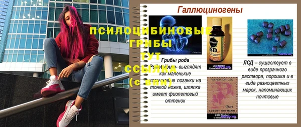 крисы Богданович